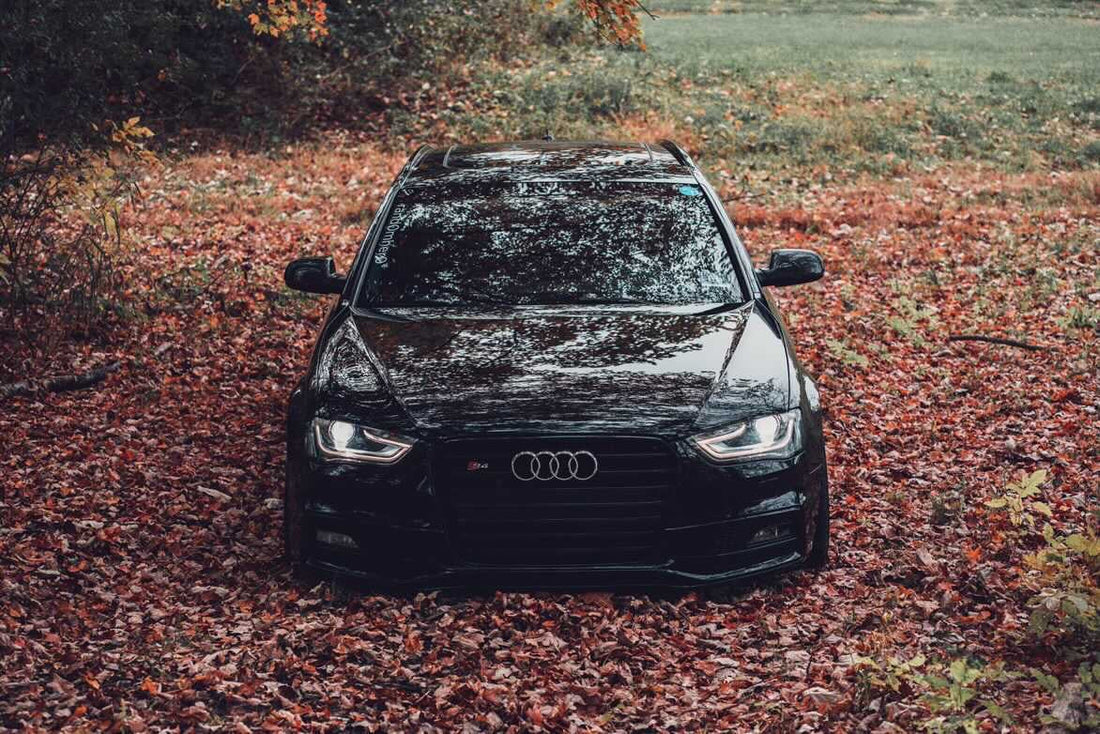 Foliage Cruise: X